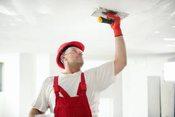  , USA Painting & Drywall Pros